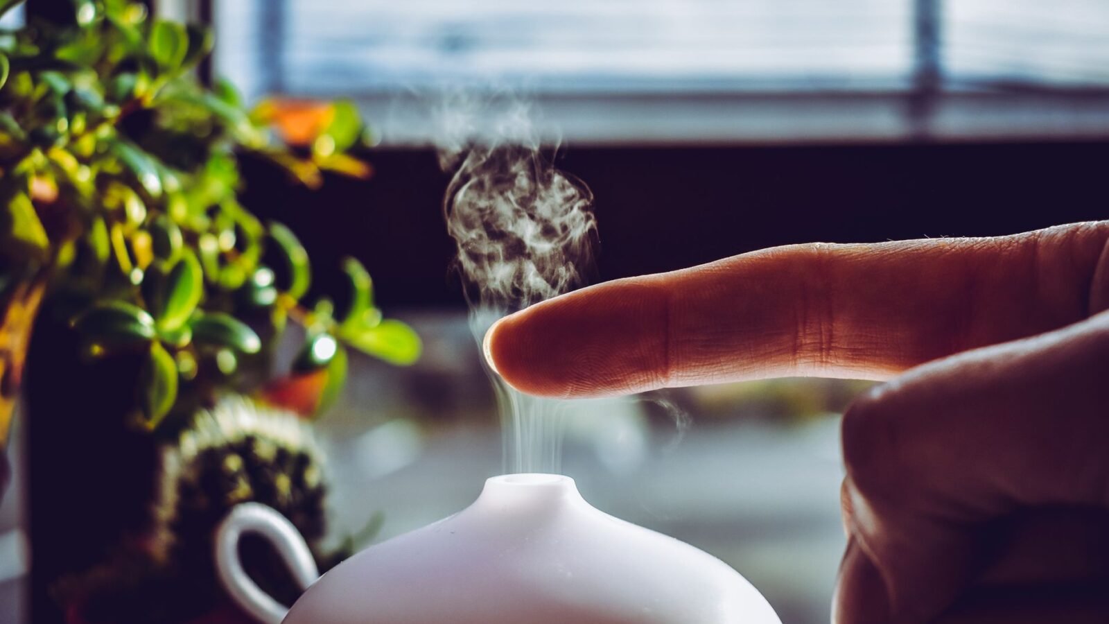 Main effleurant la brume qui s'élève d'un diffuseur ultrasonique devant une fenêtre