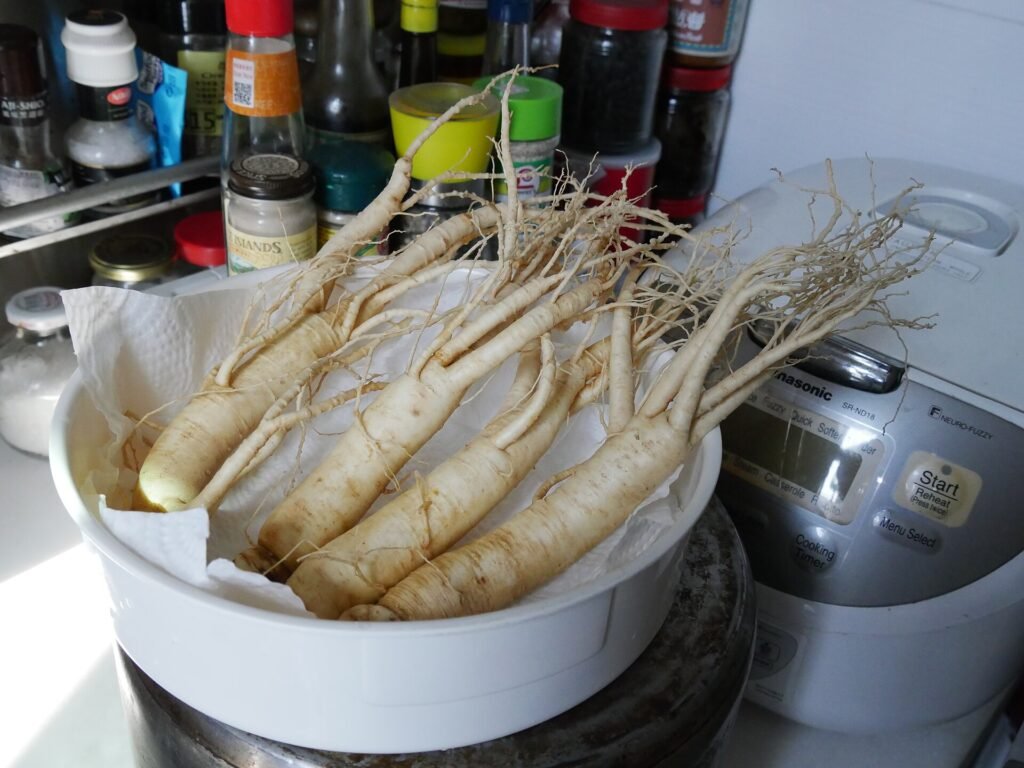 Racines fra&icirc;ches de ginseng blanc