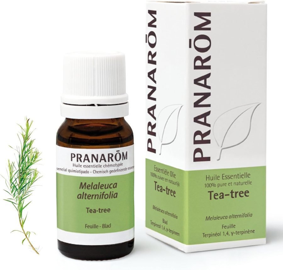 Flacon d’huile essentielle de tea tree Pranarôm, 10 ml